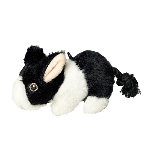 迷你萌寵-迷你兔