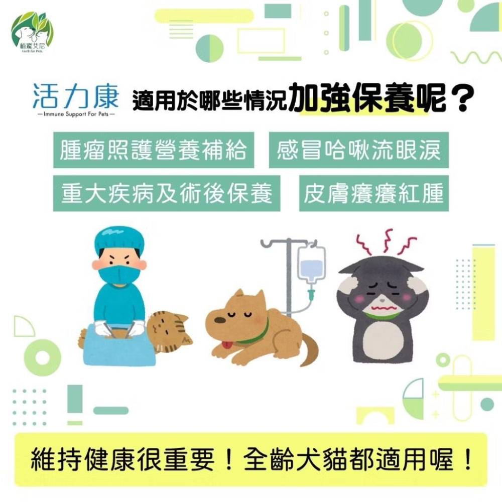 【MIGO寵物柑仔店】植寵艾尼 活力康 複方膠囊 含專利香瓜萃取物 專利酵母β-葡聚醣 酵母鋅 60粒 犬貓適用-細節圖2