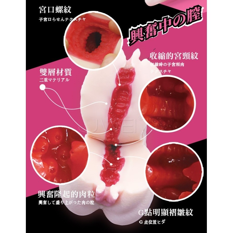 (現貨-送吸濕棒)仿真復刻男用自慰器 橋本有菜名器情趣用品飛機杯-細節圖4