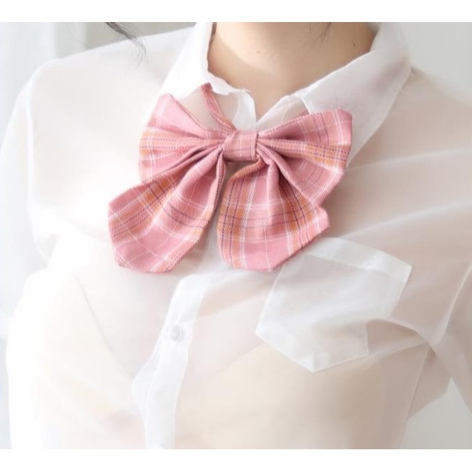 (現貨)學院風透視衣情趣3色制服情趣角色扮演(不含絲襪)-細節圖8