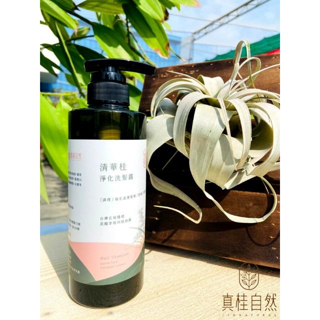 清華桂淨化洗髮露_真桂自然500ml-細節圖2