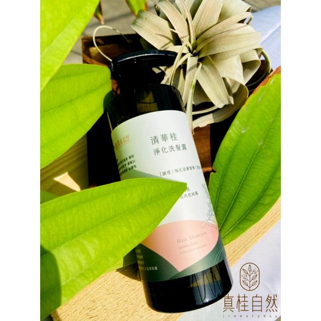 清華桂淨化洗髮露_真桂自然500ml-細節圖3