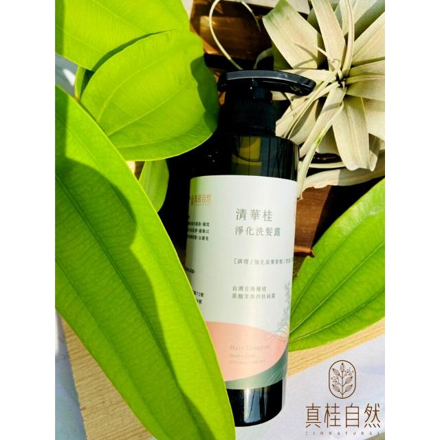 清華桂淨化洗髮露_真桂自然500ml-細節圖4