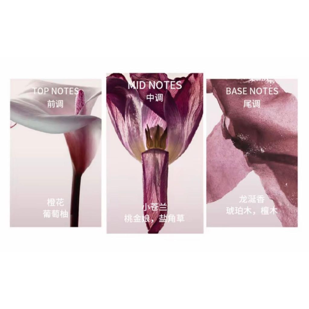 分裝瓶 / IMSOLE 不定所 人魚姬 淡香精  分裝 試香 分享香-細節圖2