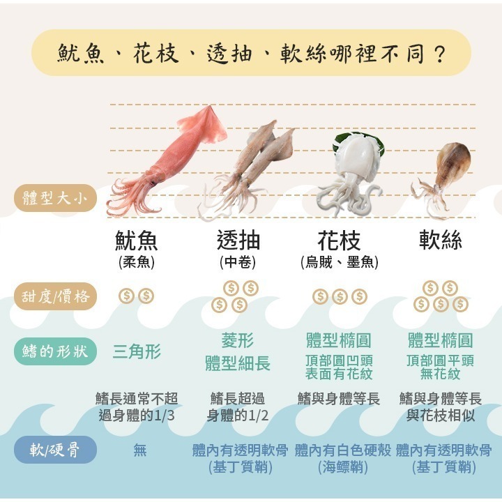 台灣在地※現流急凍【透抽中管】20-25cm(6尾/1台斤±5%/包) 【小卷小管】8-15cm(1公斤±5%/包)-細節圖8