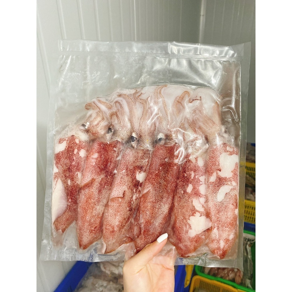 台灣在地※現流急凍【透抽中管】20-25cm(6尾/1台斤±5%/包) 【小卷小管】8-15cm(1公斤±5%/包)-規格圖9