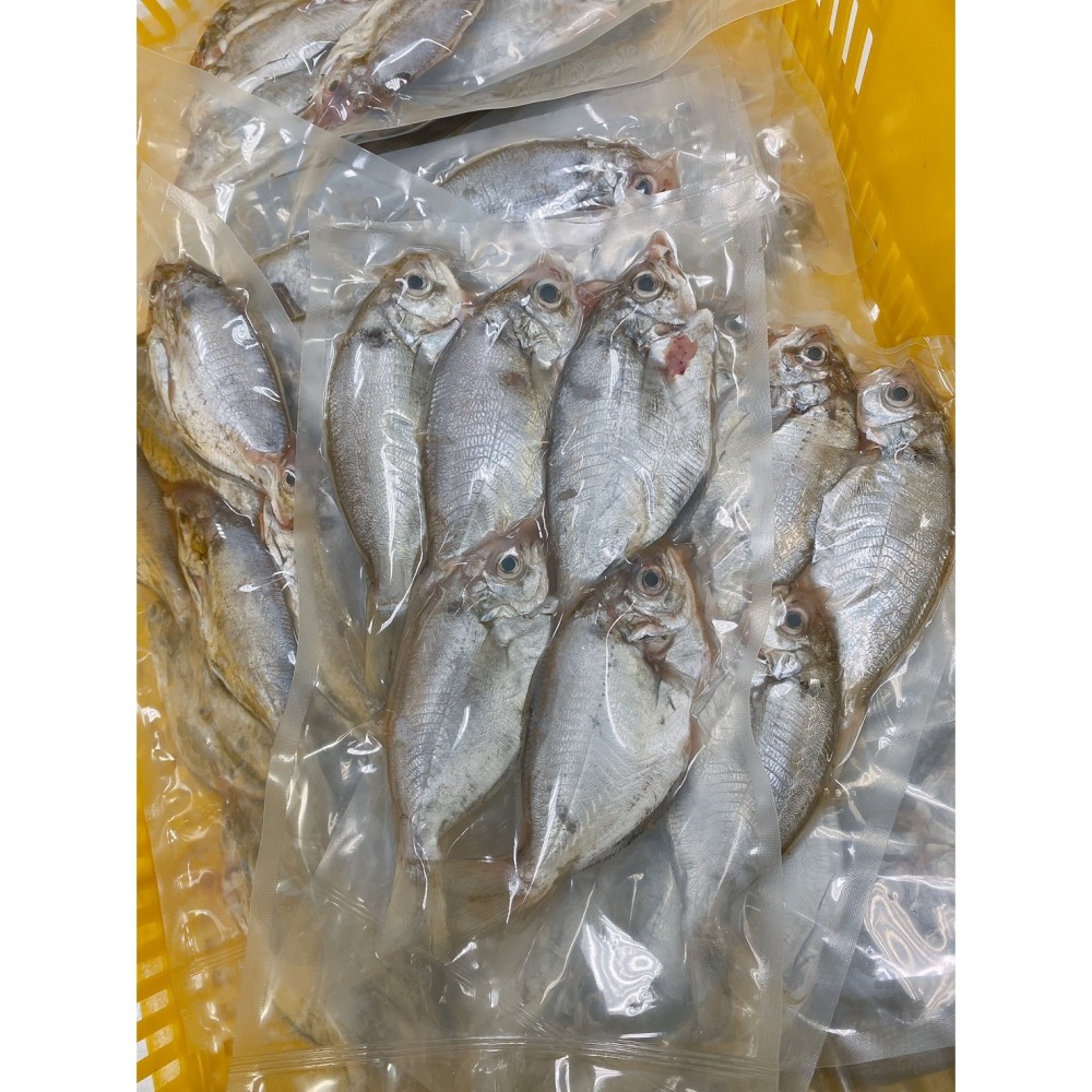 台灣在地※特A級【肉質魚】【肉鯽魚】真空去冰急凍15-20cm(4-5尾/0.5台斤±5%/包)肉魚-細節圖2