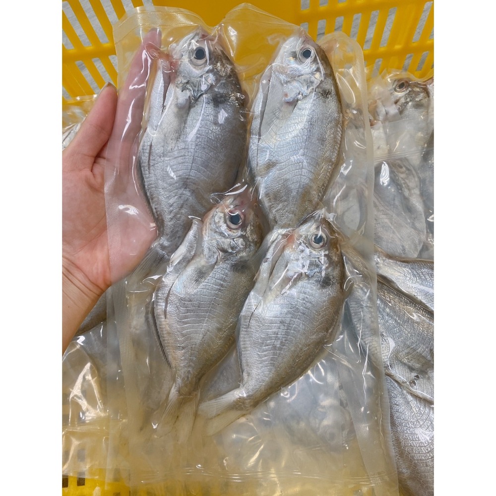 台灣在地※特A級【肉質魚】【肉鯽魚】真空去冰急凍15-20cm(4-5尾/0.5台斤±5%/包)肉魚-細節圖3