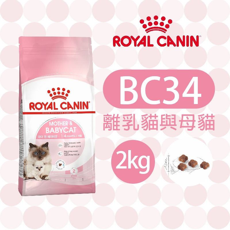 【ROYAL CANIN 法國皇家】 離乳貓專用乾糧(BC34_2kg/4kg)｜餓小姐 幼貓飼料 幼母貓 離乳貓-規格圖3