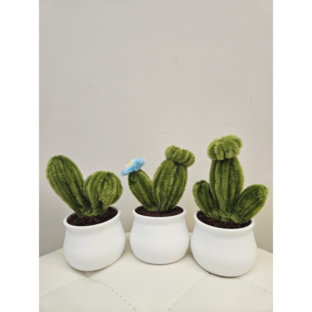 扭扭仙人掌-細節圖2