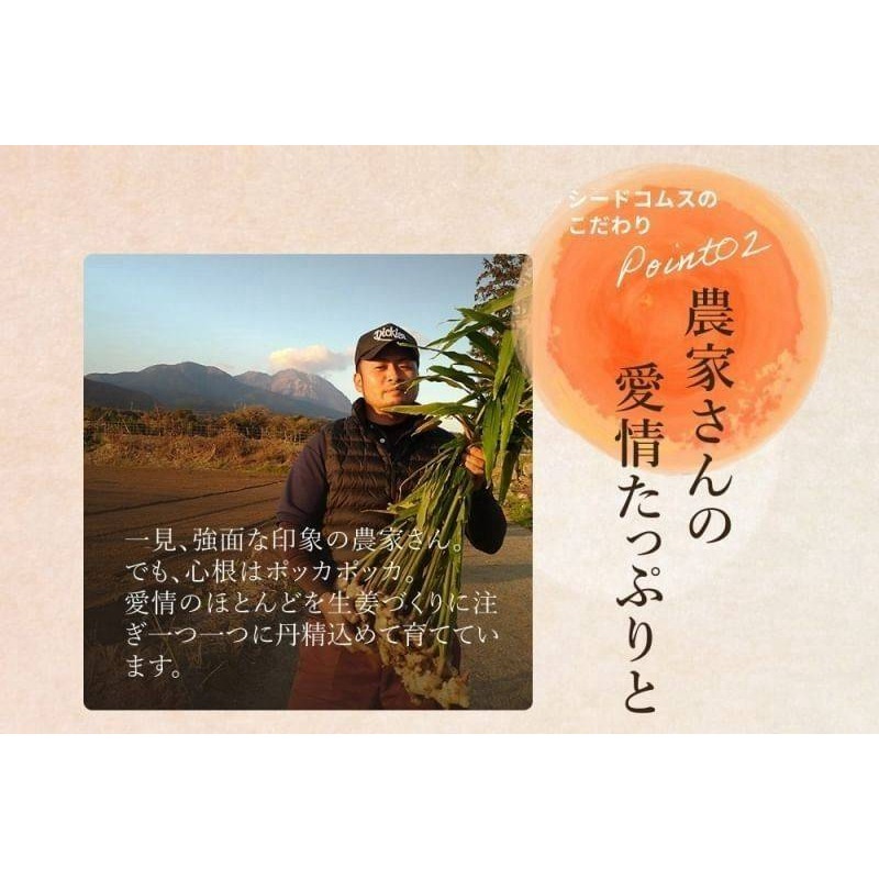 日本溫活美人｜琉璃薑紅糖健康飲（4g*31包）-細節圖6