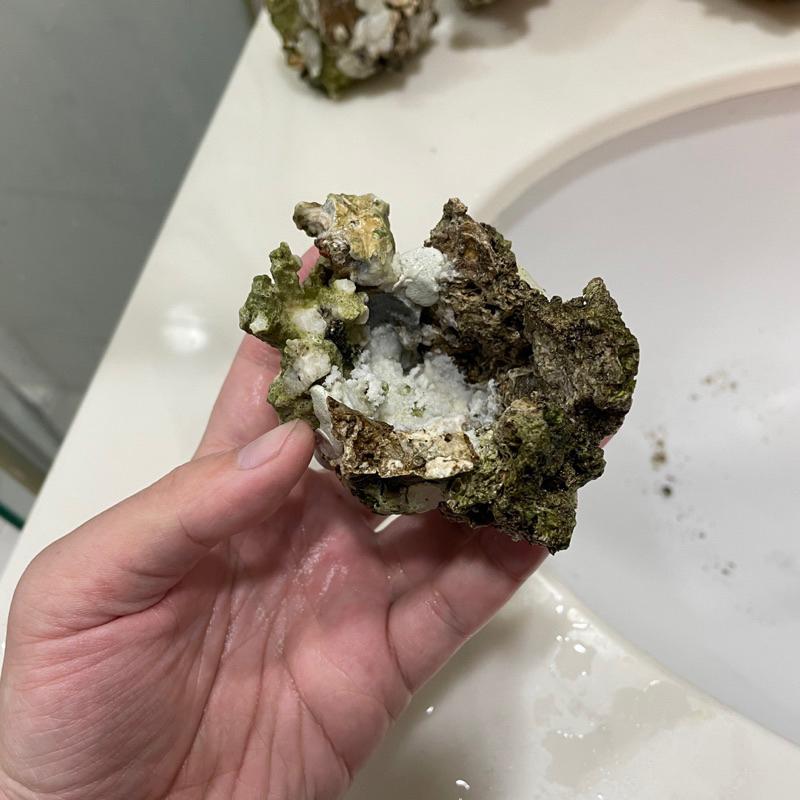 海水魚必備用品，天然活石製作的「海葵窩」海葵屋，小丑魚的家！用天然活石+塑鋼土製成，8-9公分大｜紅茶的海水魚世界-細節圖4