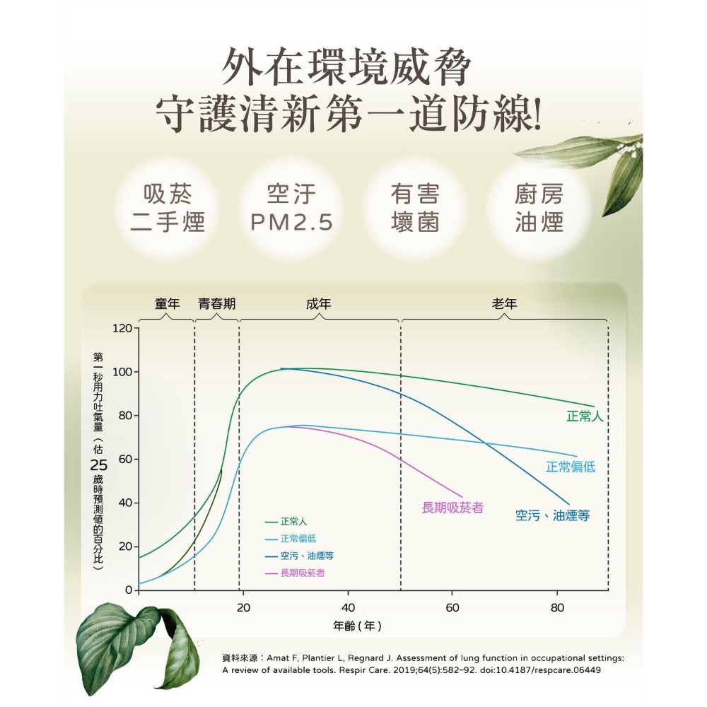 療肺草正冠茶-細節圖2