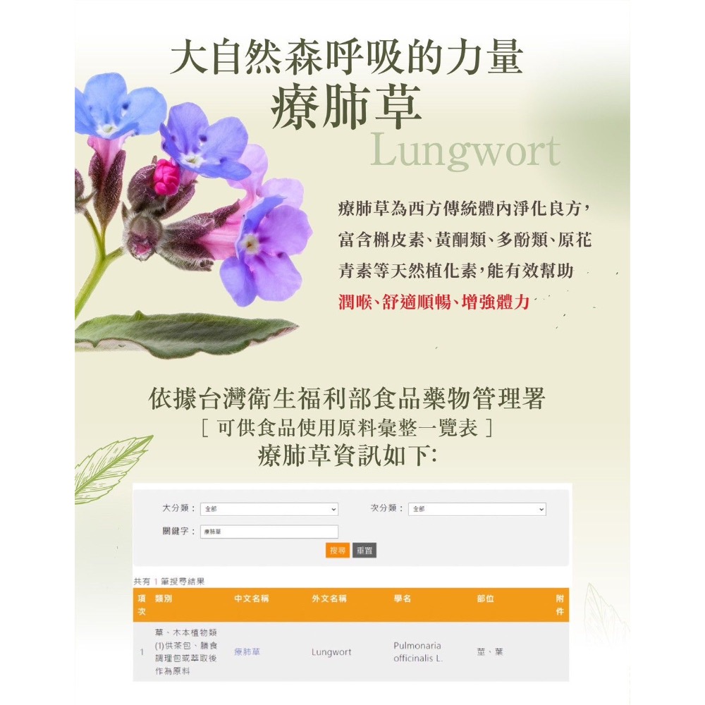 療肺草正冠茶-細節圖6