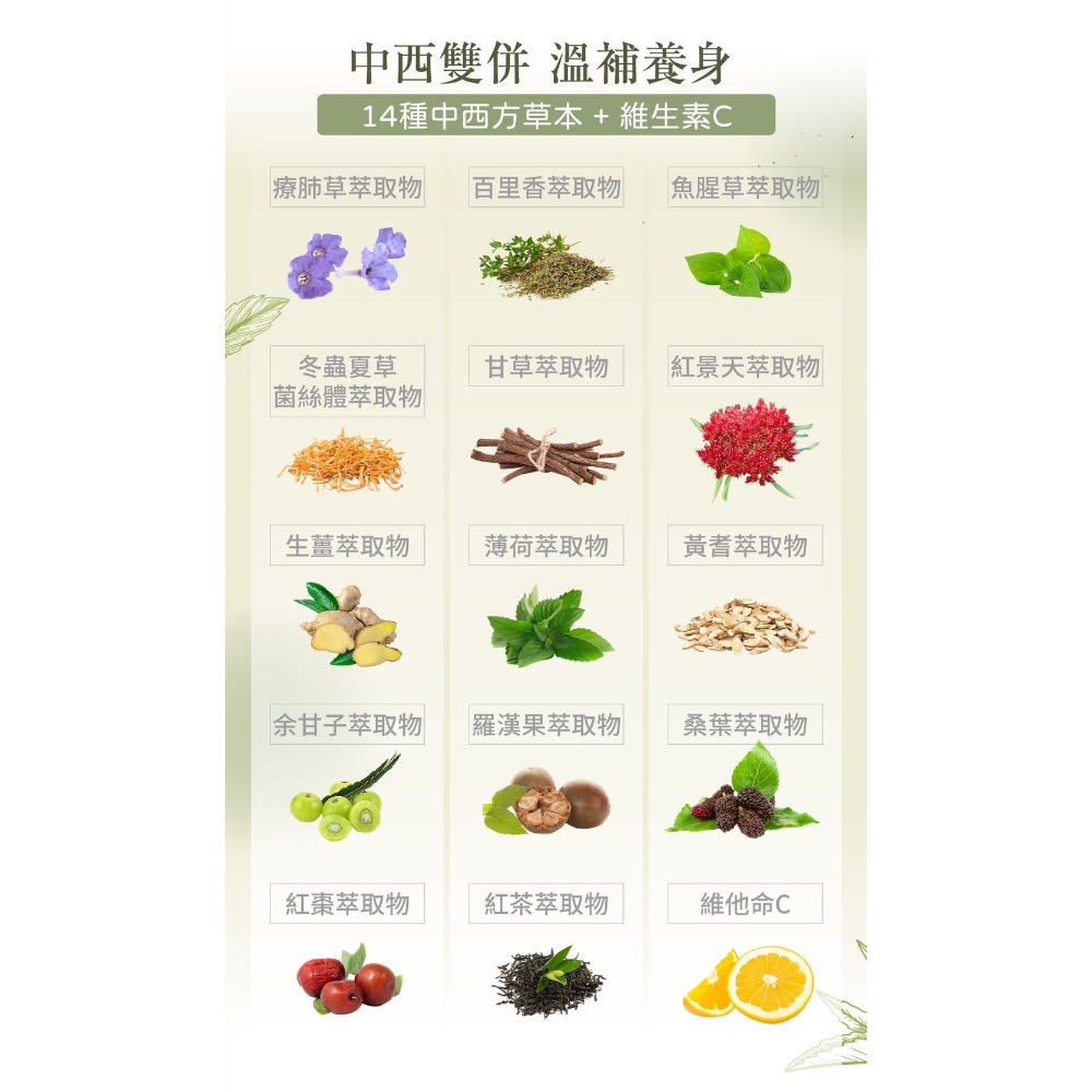 療肺草正冠茶-細節圖7