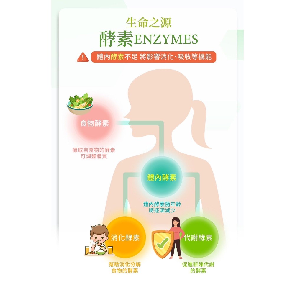 酵素．超過８０種以上蔬果萃取．腸道橡皮擦．輕鬆排空💩-細節圖4