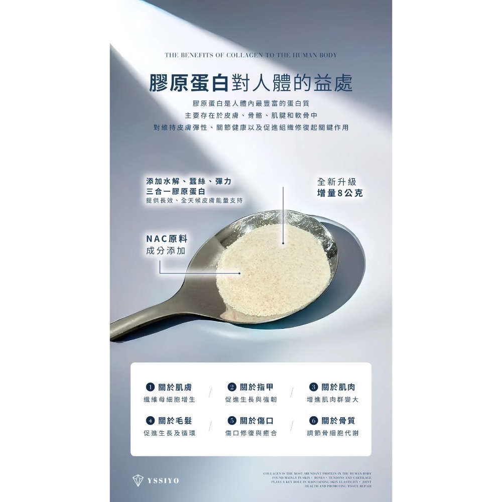 雙膠原-細節圖8