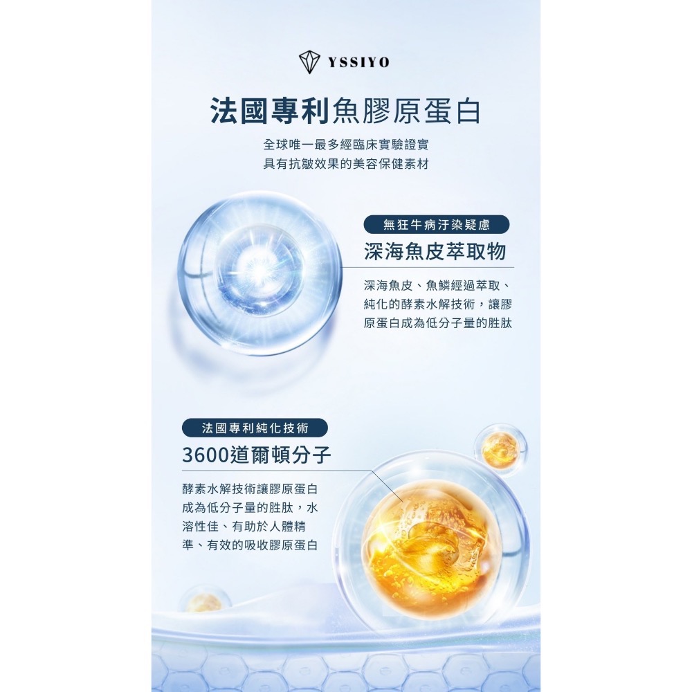 雙膠原-細節圖9