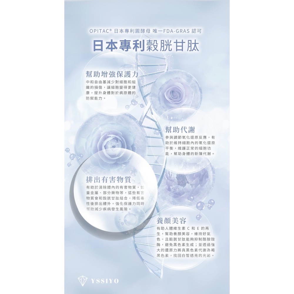 雙膠原-細節圖11