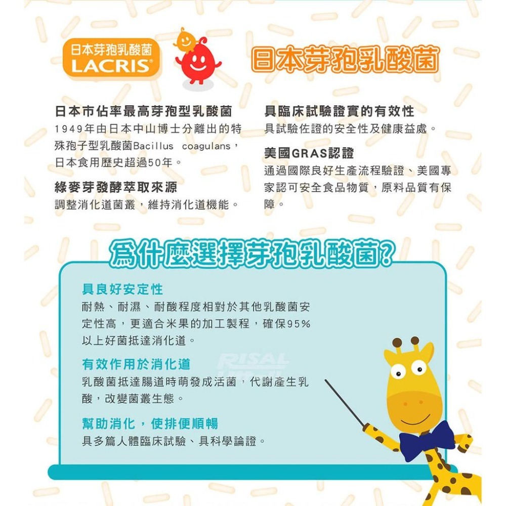 【小兒利撒爾 啾米乳酸菌夾心米果】8捲/盒 益生菌 米餅 米菓 米棒 磨牙 寶寶米餅 豆乳 卵 葡萄 日本孢子型乳酸菌-細節圖6