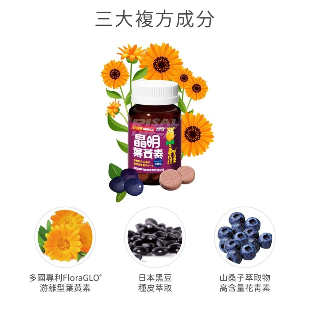 【小兒利撒爾 晶明葉黃素咀嚼錠】36粒 藍莓口味 游離型葉黃素 兒童葉黃素 金盞花葉黃素 晶亮配方 不含防腐劑 奶素可食-細節圖6