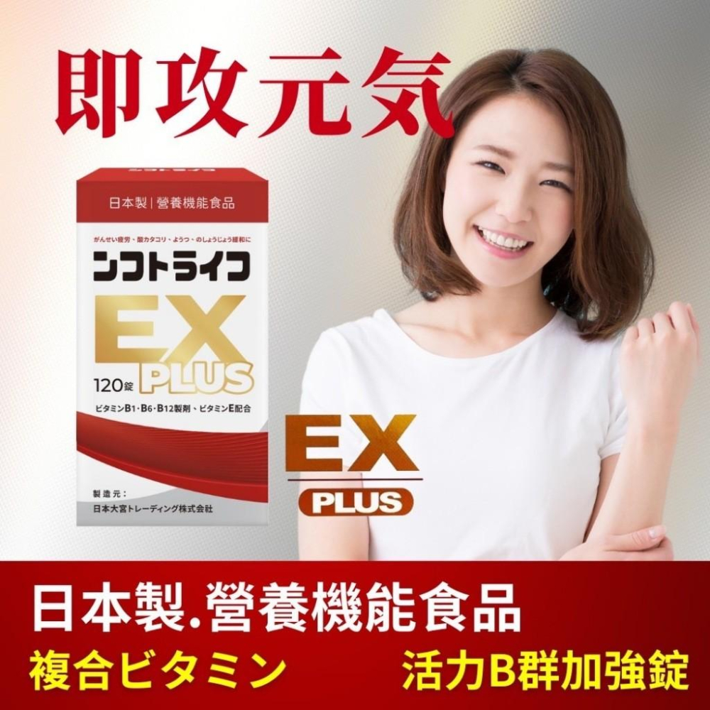 【日本製 活力B群 EX PLUS加強錠120錠】 維生素B群 γ穀維素 維生素E  強效B群 小顆好吞 日本原裝-細節圖4