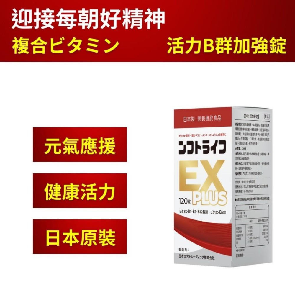 【日本製 活力B群 EX PLUS加強錠120錠】 維生素B群 γ穀維素 維生素E  強效B群 小顆好吞 日本原裝-細節圖7
