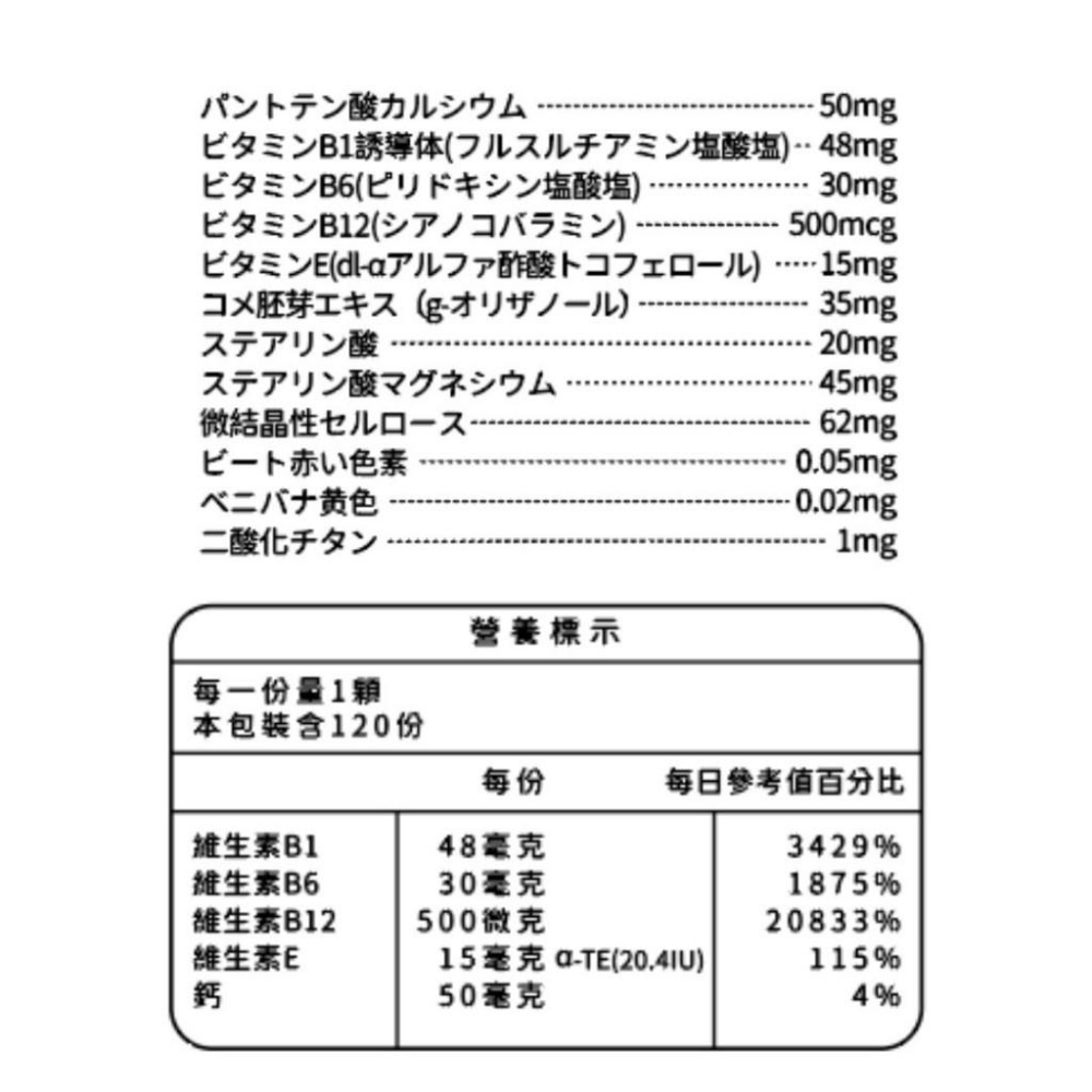 【日本製 活力B群 EX PLUS加強錠120錠】 維生素B群 γ穀維素 維生素E  強效B群 小顆好吞 日本原裝-細節圖8