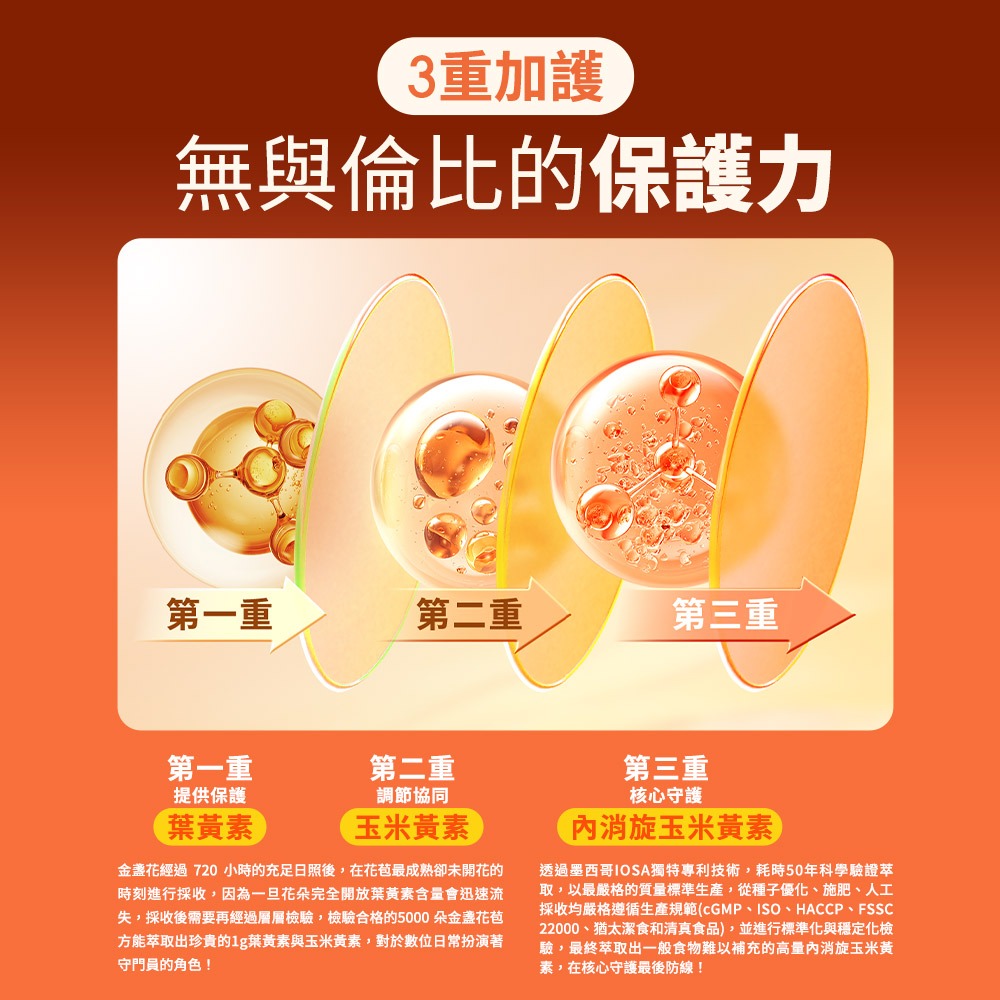 【Eatbliss 益比喜】盯晶王金盞花葉黃素飲 8入/盒-細節圖7