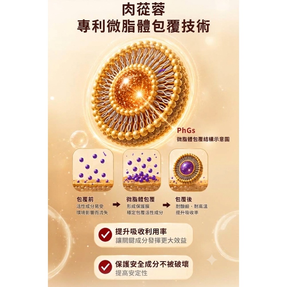 李時珍 蓯蓉能量飲 14包/盒-細節圖7