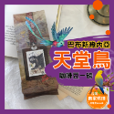 【活動中】【努哇克咖啡Luwakcoffee 】黑咖啡 咖啡豆 阿拉比卡咖啡豆 精品咖啡豆 咖啡豆一磅 義式咖啡豆-規格圖6