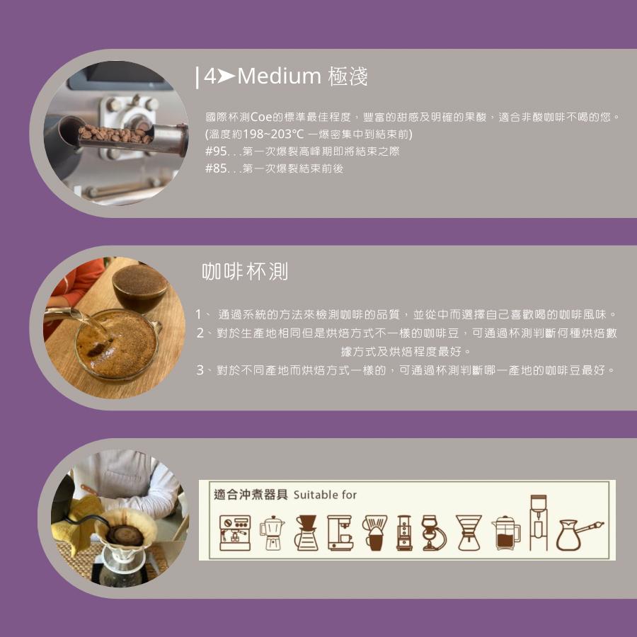 耶加雪菲Ｇ1 水洗-衣索比亞【#努哇克Luwak 】 ✤ 4➤Medium 極淺烘焙法（自家烘焙咖啡）商業產區豆、超值豆-細節圖2