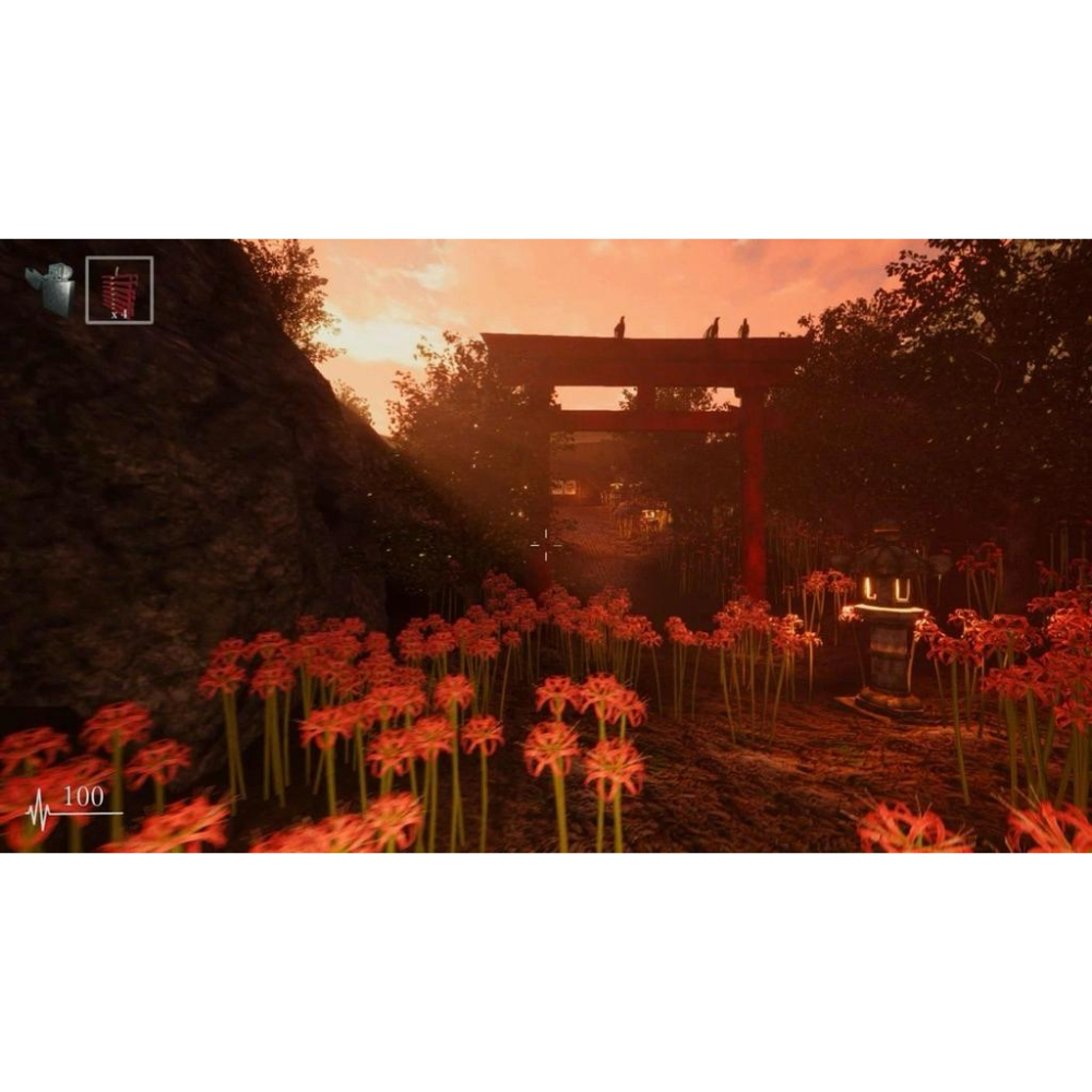 Switch 影之迴廊 + 雨之四葩 合輯 中文版 逃脫 生存 恐怖遊戲 Shadow Corridor 1 2 NS-細節圖5