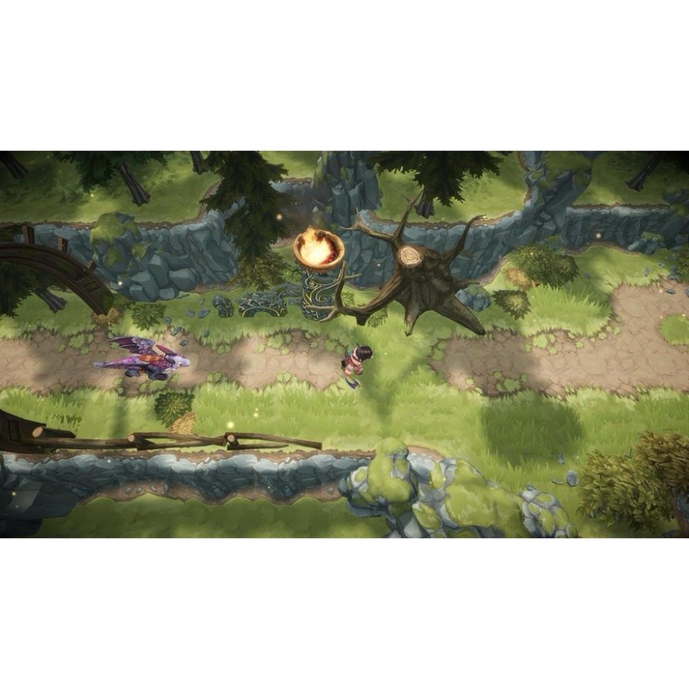 Switch 馴龍高手 新騎士的黎明 英文版 Dragons Dawn of New Riders NS-細節圖5