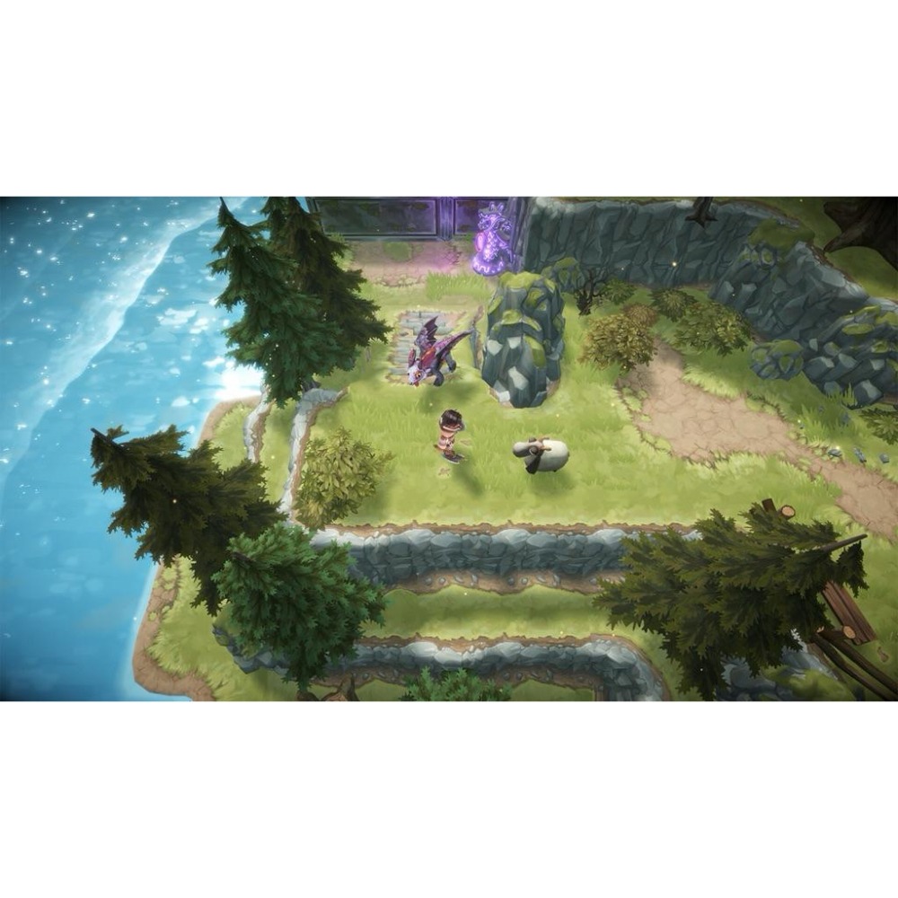 Switch 馴龍高手 新騎士的黎明 英文版 Dragons Dawn of New Riders NS-細節圖6