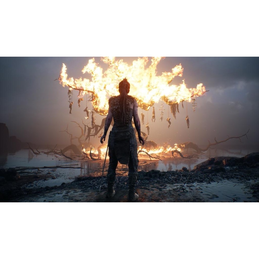 PS4 地獄之刃 賽奴雅的獻祭 中文版 PS5也可玩 塞娜的獻祭 Hellblade Senua＇s Sacrifice-細節圖6