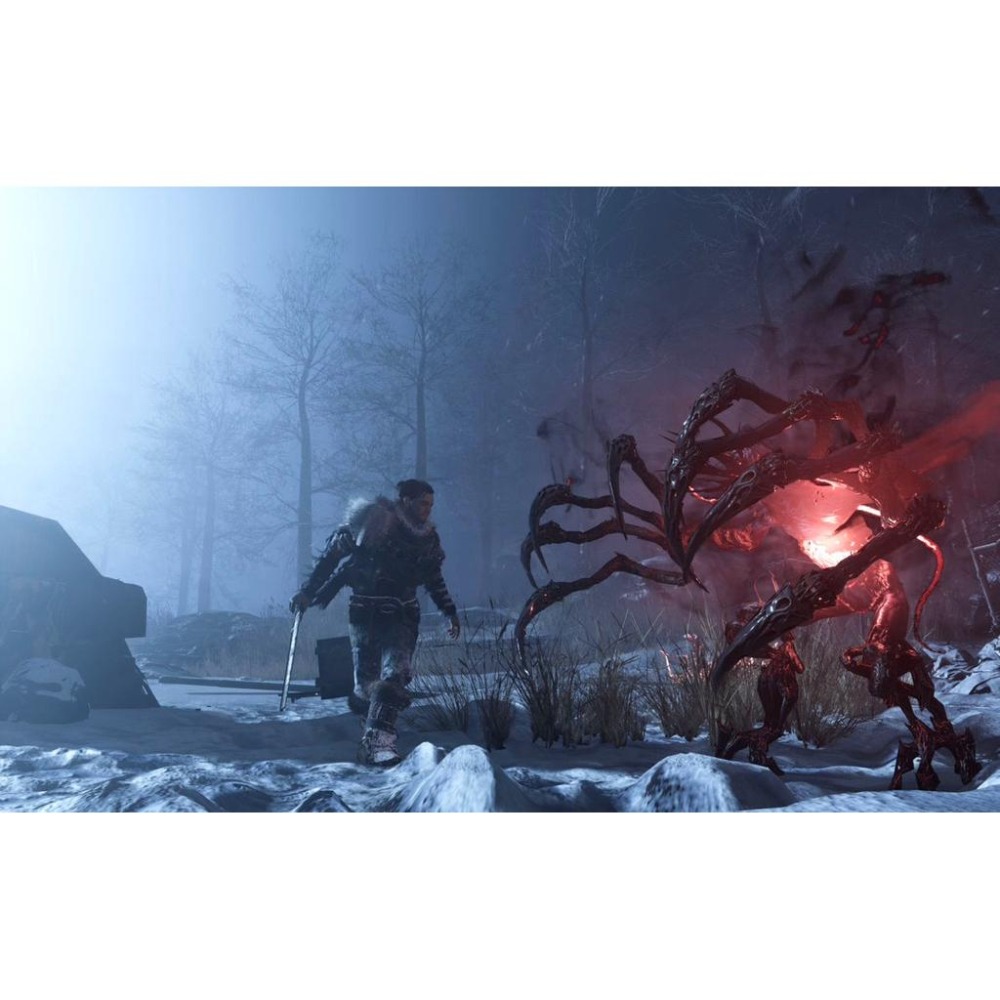 PS4 歸於寂靜 中文版 在冰天雪地的末日世界中努力求生 PS5也可玩 Fade to Silence-細節圖2