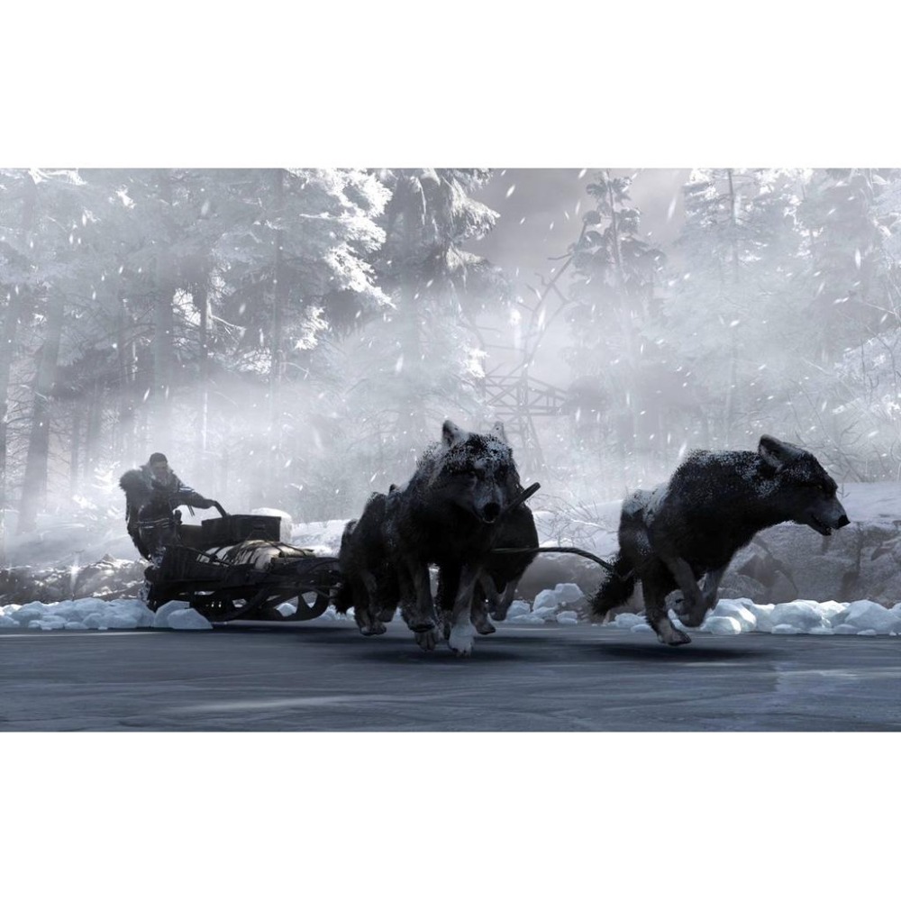 PS4 歸於寂靜 中文版 在冰天雪地的末日世界中努力求生 PS5也可玩 Fade to Silence-細節圖3