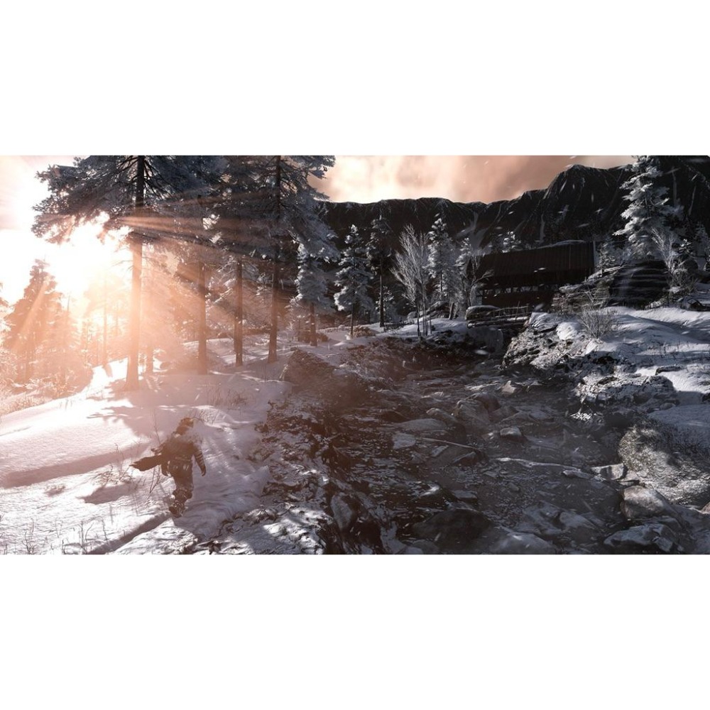 PS4 歸於寂靜 中文版 在冰天雪地的末日世界中努力求生 PS5也可玩 Fade to Silence-細節圖5