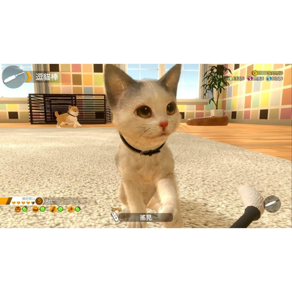 Switch 小小伙伴 狗狗 貓貓 中文版 Little Friends Dogs Cats 任天堂 NS-細節圖3