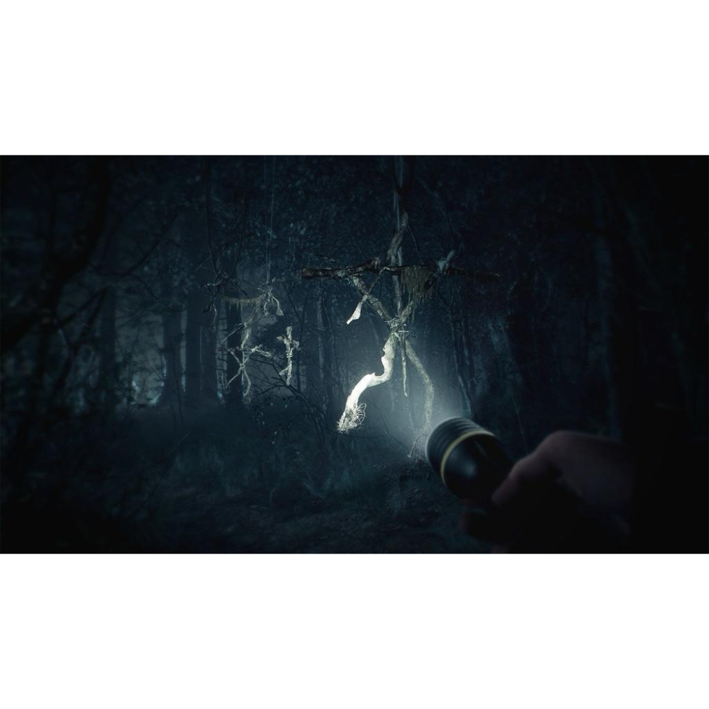 Switch 厄夜叢林 中文版 恐怖冒險 驚悚 探索解謎 實體 遊戲片 布萊爾女巫 Blair Witch 任天堂 NS-細節圖3
