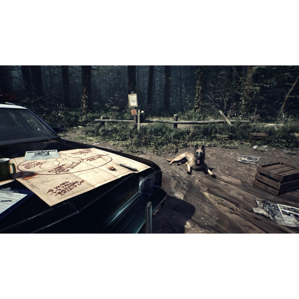 Switch 厄夜叢林 中文版 恐怖冒險 驚悚 探索解謎 實體 遊戲片 布萊爾女巫 Blair Witch 任天堂 NS-細節圖5