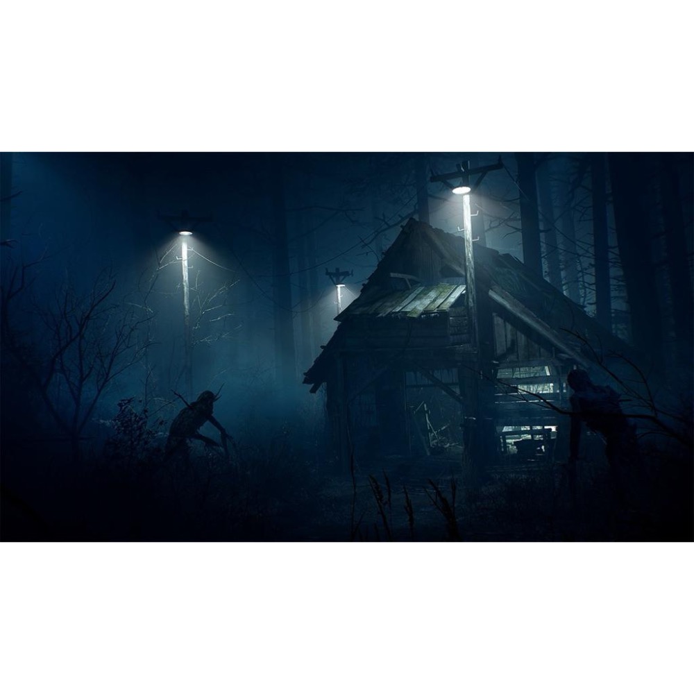 Switch 厄夜叢林 中文版 布萊爾女巫 NS 遊戲 Blair Witch 恐怖 驚悚-細節圖4