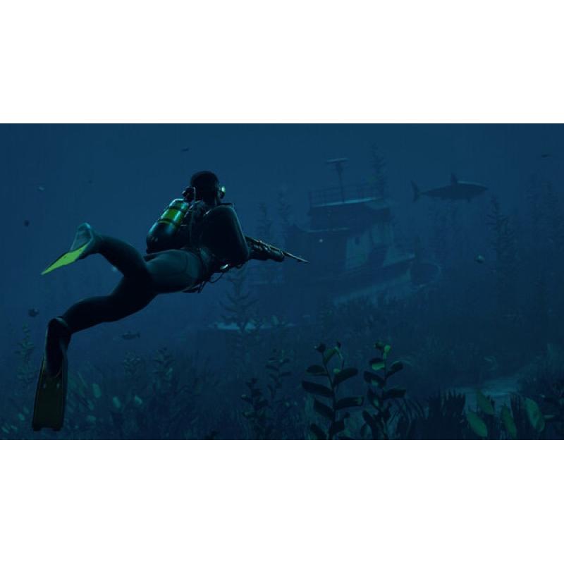 全新PS4 荒野求生 RUST 中文版 PS5也可玩 實體 遊戲片 末日 生存-細節圖5