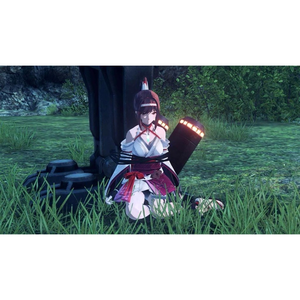Switch 異度神劍3 中文版 壯闊的世界冒險 獨佔大作 必玩 RPG Xenoblade Chronicles NS-細節圖3