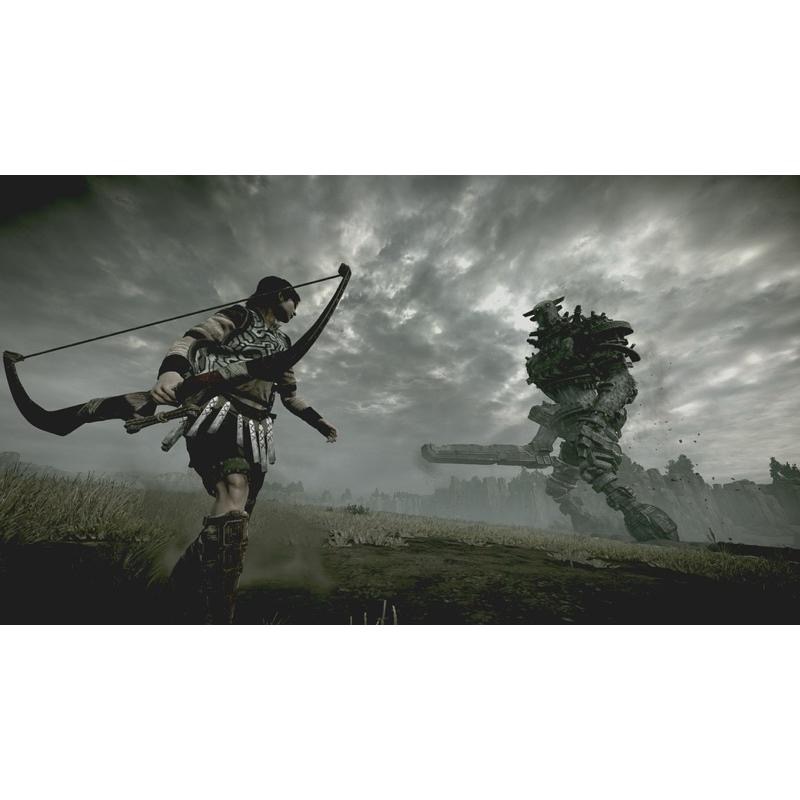PS4 汪達與巨像 中文版 榮獲各項遊戲大獎 PS5也可玩 巨像之咆哮 Shadow of the Colossus-細節圖4