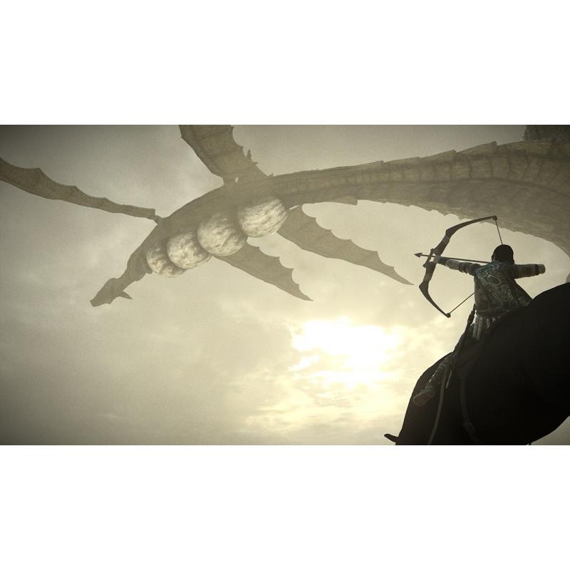 PS4 汪達與巨像 中文版 榮獲各項遊戲大獎 PS5也可玩 巨像之咆哮 Shadow of the Colossus-細節圖5