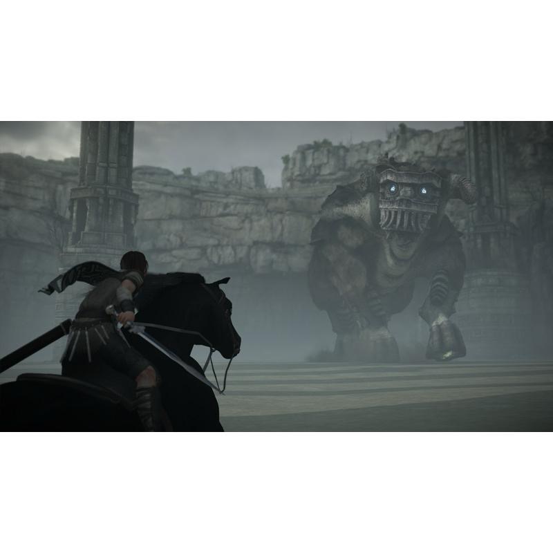 PS4 汪達與巨像 中文版 榮獲各項遊戲大獎 PS5也可玩 巨像之咆哮 Shadow of the Colossus-細節圖6