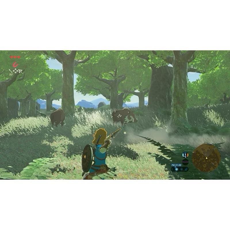 Switch 薩爾達傳說 曠野之息 + 擴充票 中文版 包含DLC 完全版 NS 遊戲 Zelda 任天堂-細節圖5