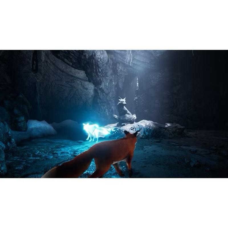Switch 北方之靈 中文版 探索失落遠古文明 Spirit of the North NS-細節圖2